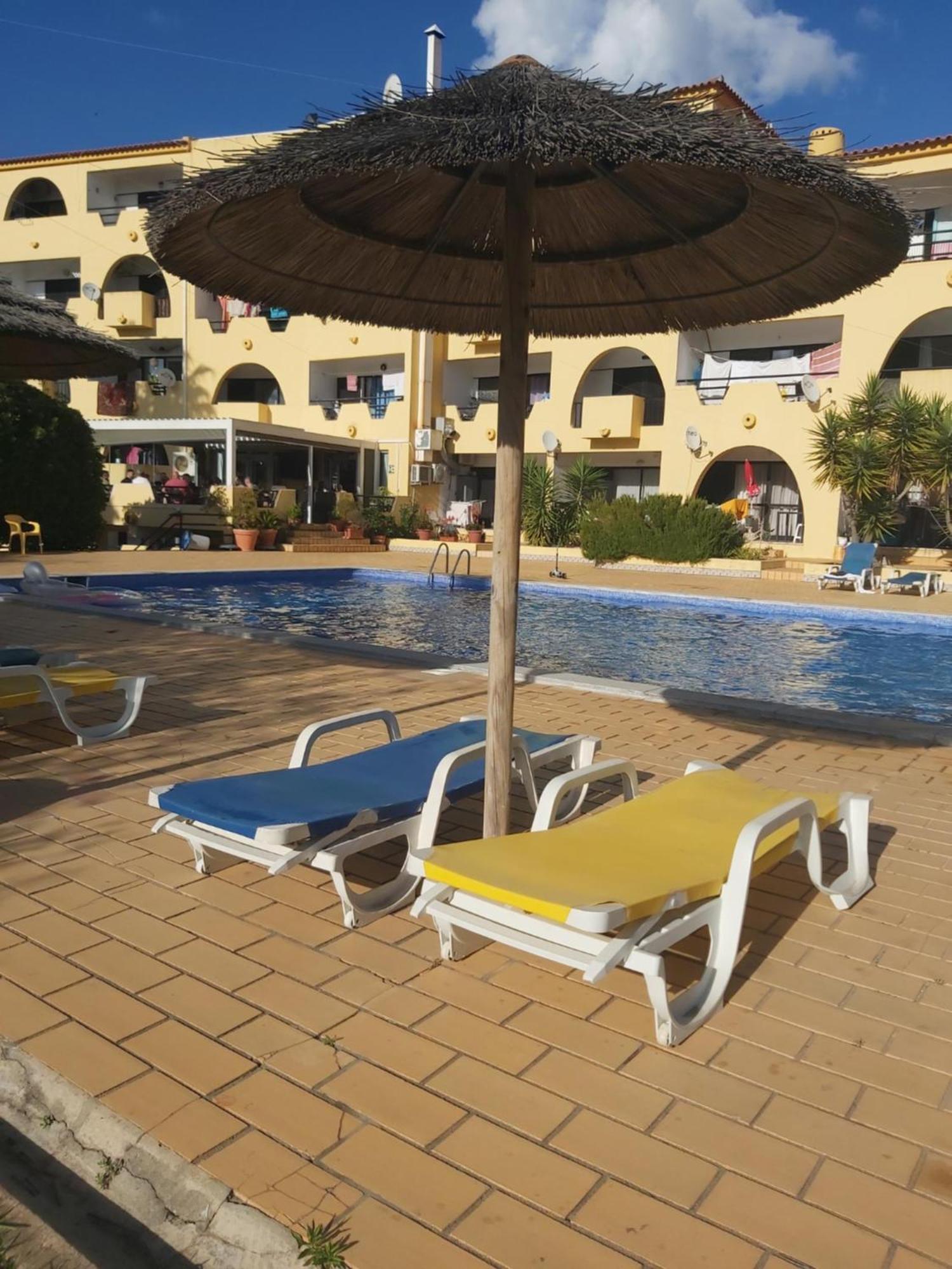 Sea Turtle - * Albufeira